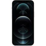 Apple iPhone 12 Pro Silver