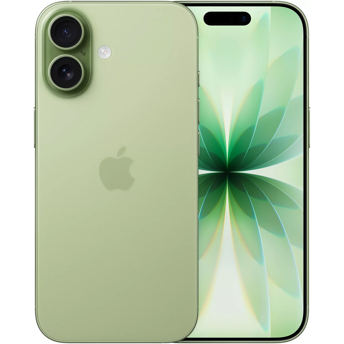 Apple iPhone 17 Sauge