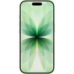Apple iPhone 17 Sauge