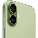 Apple iPhone 17 Sauge